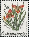 [Flowers, type CQP]