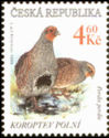 [Endangered Animals, type FV]