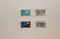 [Marine Life - Whales and Dolpins of the World - White Frame, type CBF]