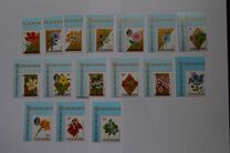 [Flowers - Fluorescent Paper, type DX1]