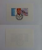 [Airmail - Charles de Gaulle and Aircraft, type ZX]