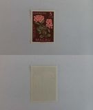 [Indigenous Flowers, tip CK]
