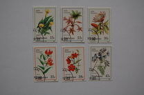 [Wild Flowers, type FO]
