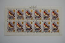[Birds, type JG]