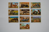 [Akagera National Park, typ MC]