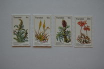 [Medicinal Plants, Tip Y]