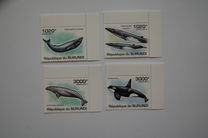 [Marine Life - Whales, type BNA]