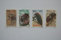 [Beetles, Tipe WL]