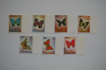 [Airmail - Butterflies, type BTZ]