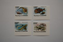 [Fauna - Marine Life, type BMK]