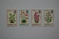 [Wild Flowers of Jersey, タイプ AK]