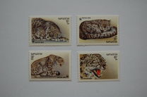 [The Snow Leopard, type X]