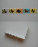 [Butterflies, type DQB]