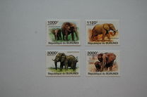 [Fauna - Elephants, Scrivi BLM]