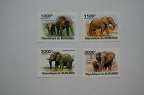 [Fauna - Elephants, Scrivi BLM]