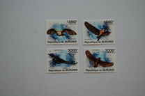 [Birds - Owls, type BOW]