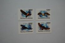 [Birds - Owls, type BOW]