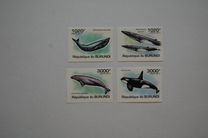 [Marine Life - Whales, type BNA]