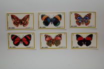 [Butterflies, type WZ]