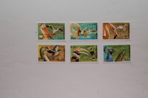 [Fauna - Birds, type AVA]