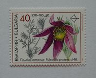 [Medicinal Plants, typ ENC]