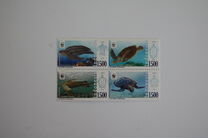 [WWF - Sea Turtles, Typ DCU]
