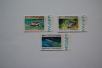 [Marine Fish, type ACJ]