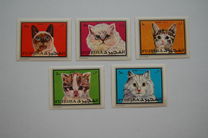 [Cats, loại UY]