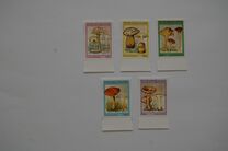 [Fungi, type ARD]