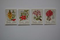 [Flowers, 类型 DB]
