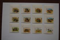 [Global Conservation of Endangered Wildlife, 类型 PS]