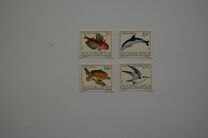 [Mediterranean Marine Life, тип BTM]