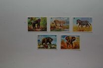 [Wild Animals, Tüüp RK]