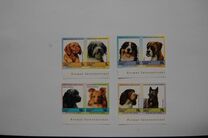 [Dogs, प्रकार AG]