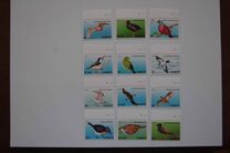 [Birds - Threatened Species, Typ ALX]