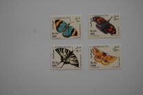 [Butterflies, Tipo RG]
