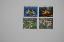 [Fauna - Orchids, type HOP]