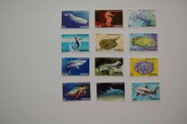 [Fauna - Threatened Species, τύπος ANK]