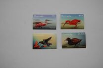 [Birds of Grenada, type ELI]