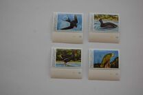[Birds of Grenada, type ELI]