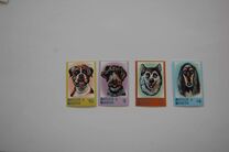 [Dogs, type CON]