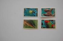 [Birds of Grenada, type ELI]