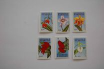 [Flowers, type CPF]