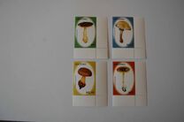 [Mushrooms, тип BWK]