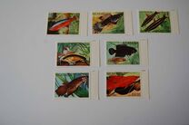 [Airmail - Tropical Fish, тип BCS]