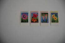 [Flowers, type CZE]