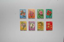 [Flowers of the Maldive Islands, type QY]