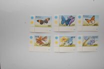 [Butterflies from Around the World, type CLH]
