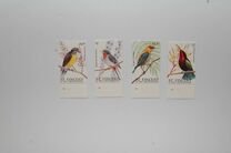 [Birds, type AUW]