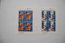 [Dog Breeds, type EIJ]